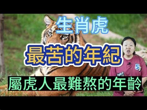 屬虎的幸運數字|屬虎的幸運數字是什麼？深入解析生肖虎的幸運數字與運勢